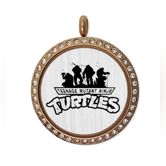 TMNT Theme Stainless Steel Locket - Picture 1 of 4